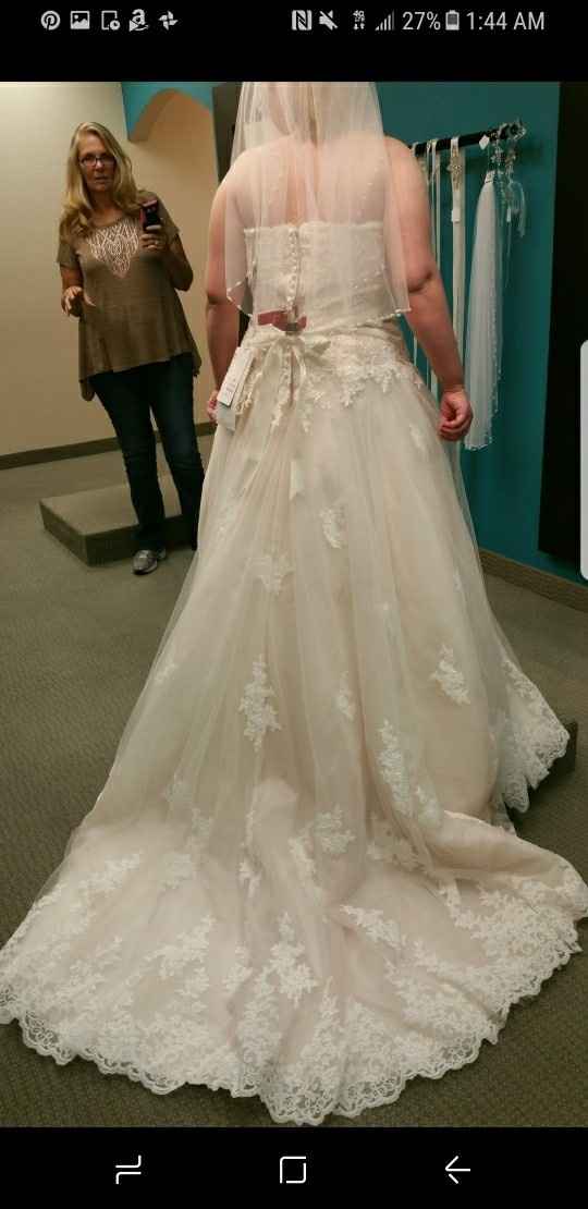 Plus Size Lace or Tulle Wedding Dresses -- show me yours?