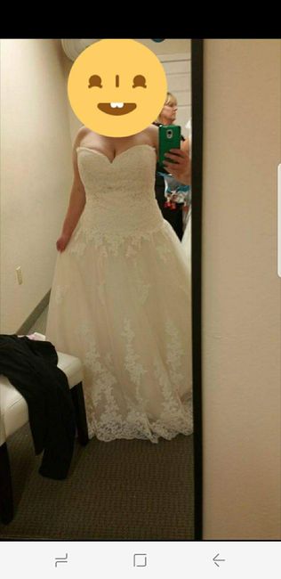 Plus Size Lace or Tulle Wedding Dresses -- show me yours?