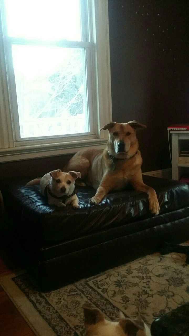 Better late than never