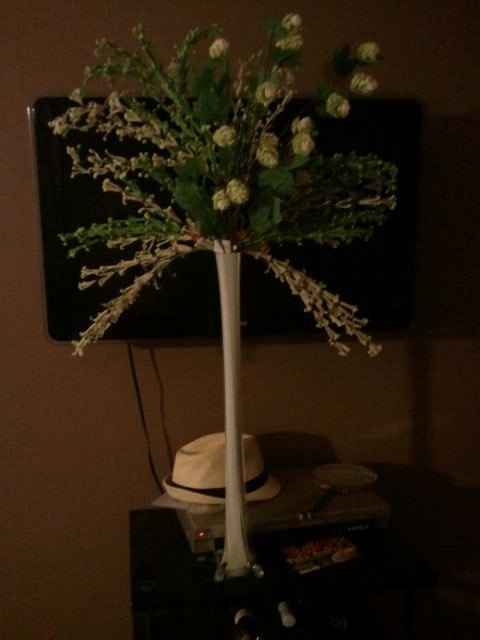 Centerpiece....Need opinions please! (PICS)