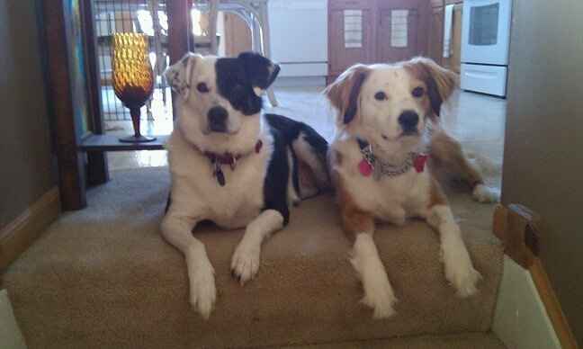 My DIY (ish) cake topper! **PICS**