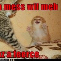 Oh my God, the drama!