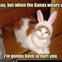 Oh my God, the drama!