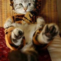 Oh my God, the drama!