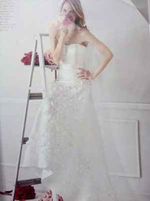 I ordered my dress!!! (pics)