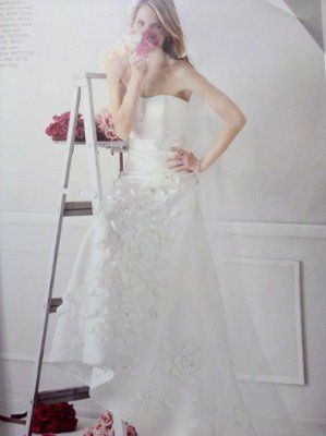 I ordered my dress!!! (pics)