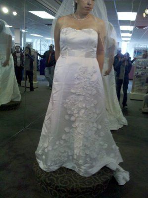 I ordered my dress!!! (pics)