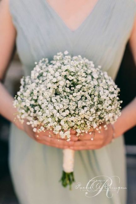 Has anyone used baby’s breath in their bouquets? 1