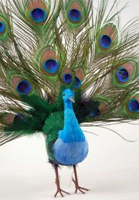 Aisle Decorations