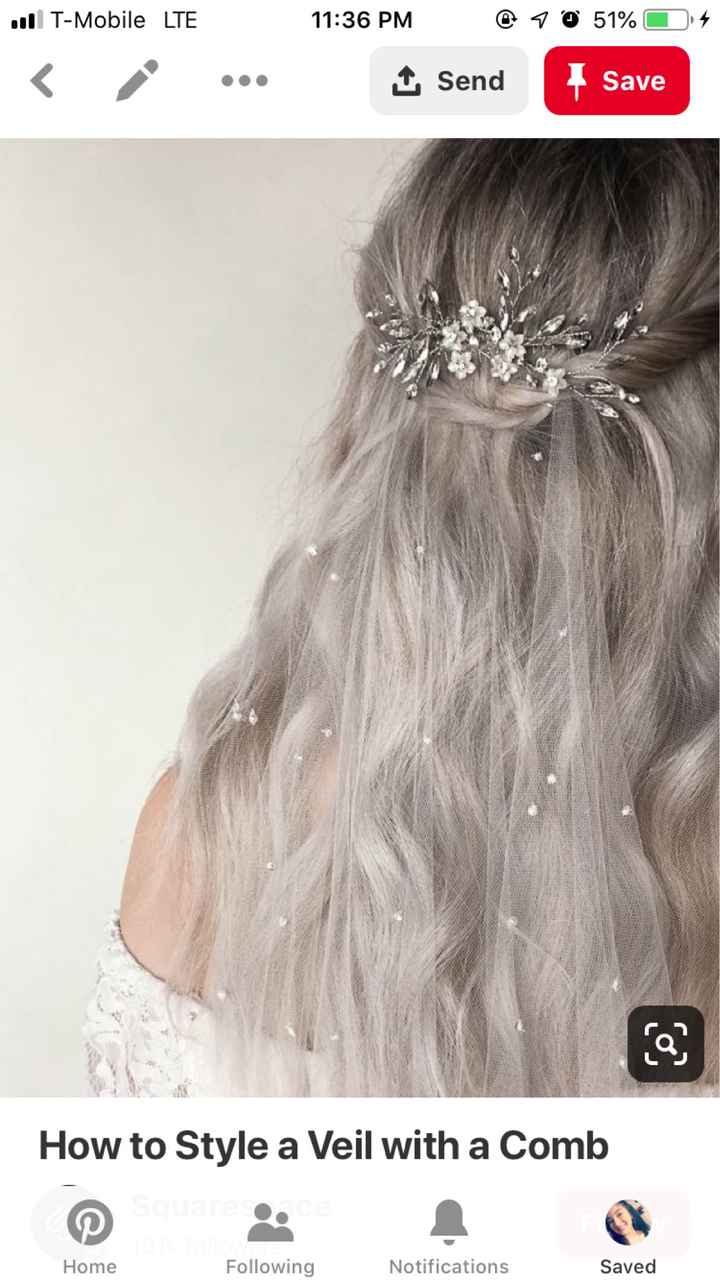 Veil combs???? - 1