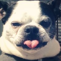 NWR.......FUR BABIES!!!!