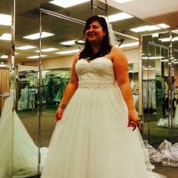 It feels too good to be true!!!!!