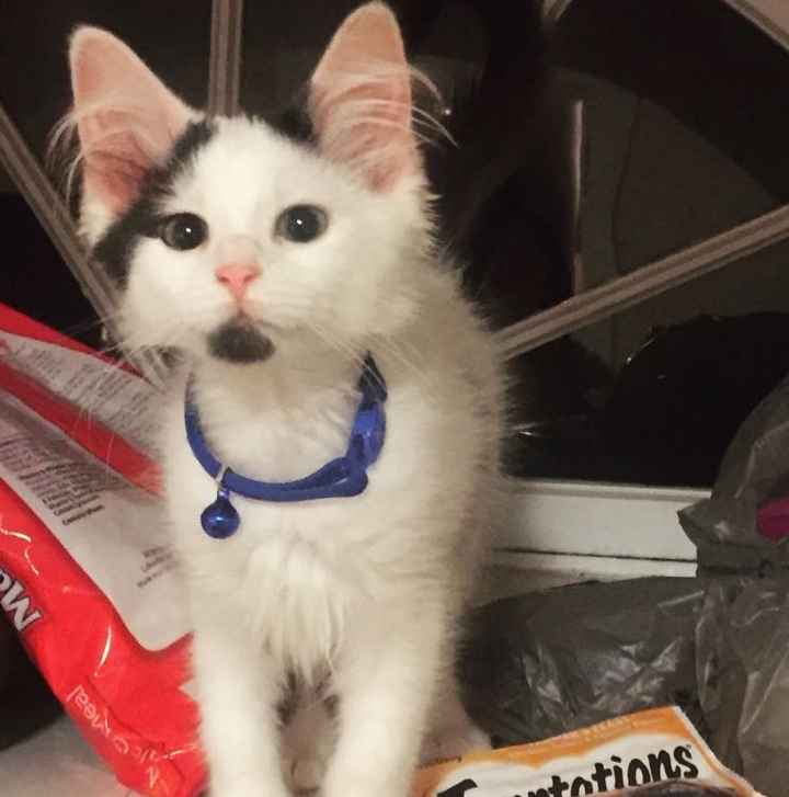 NWR Your Daily Dose of Baby Ollie!