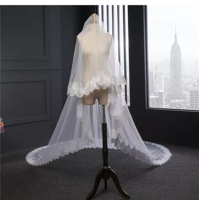 Veils - 3