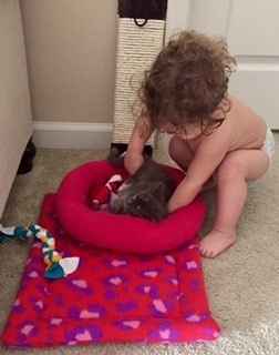 NWR:Meet the newest addition to my family