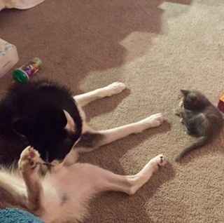 NWR:Meet the newest addition to my family