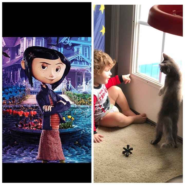 NWR: Pet Owners...Can we play a fun game? :D