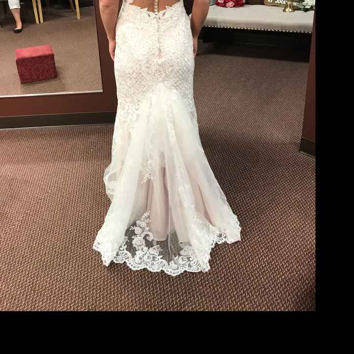 Show me your Bustles! - 1