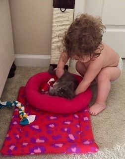 NWR:Meet the newest addition to my family