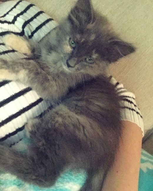 NWR:Meet the newest addition to my family