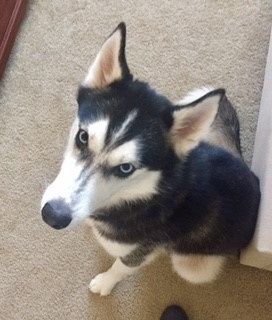 NWR:Meet the newest addition to my family