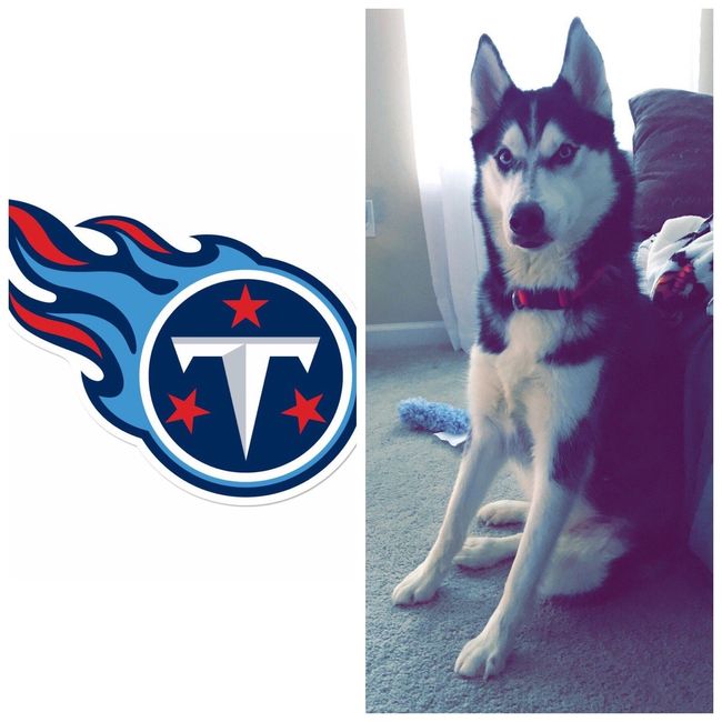 NWR: Pet Owners...Can we play a fun game? :D