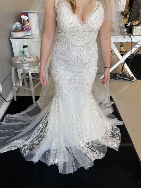 When to Dress Shop? 2