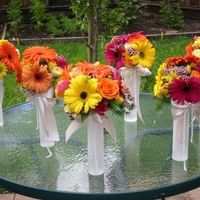 Help with the colors!!