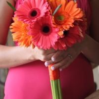 Help with the colors!!