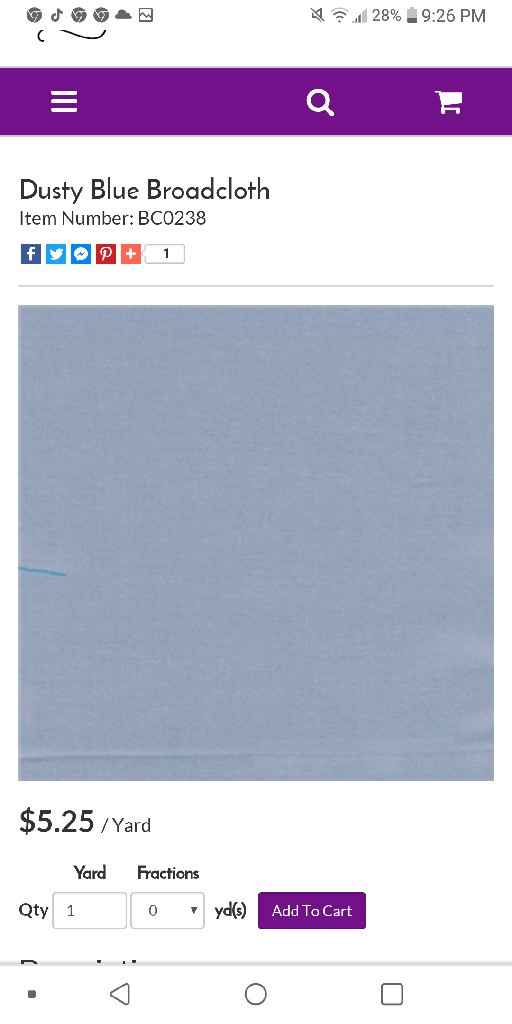 Does this look like dusty blue? - 1