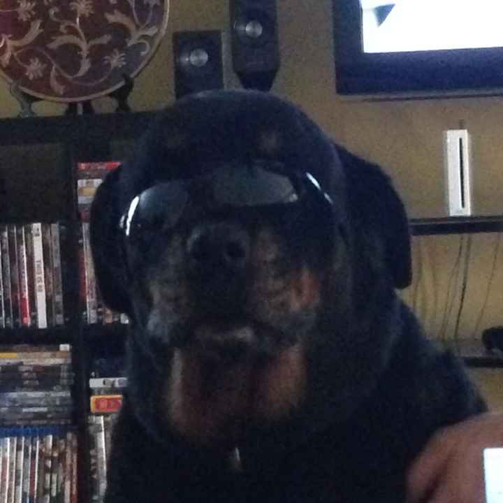 Show me your Furbabies!