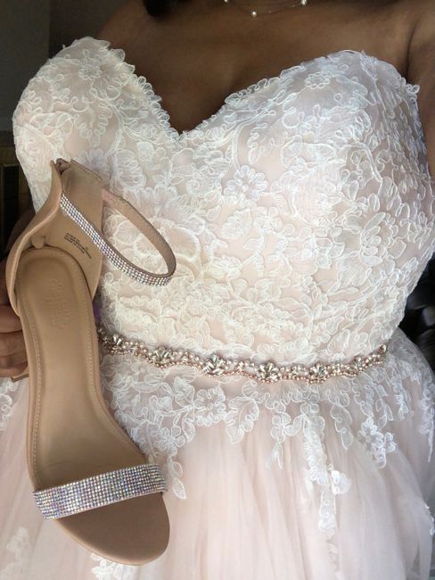Details, Sashes and Belts, oh My! - 1