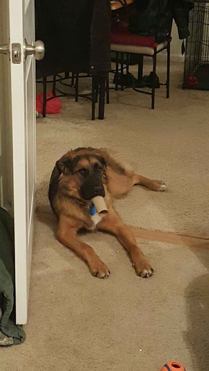 It's Fursday! Share the love!