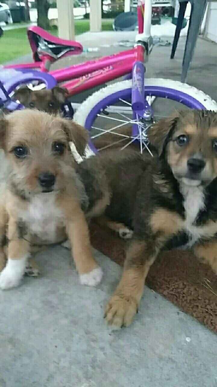 Show Me... Cheering Up!