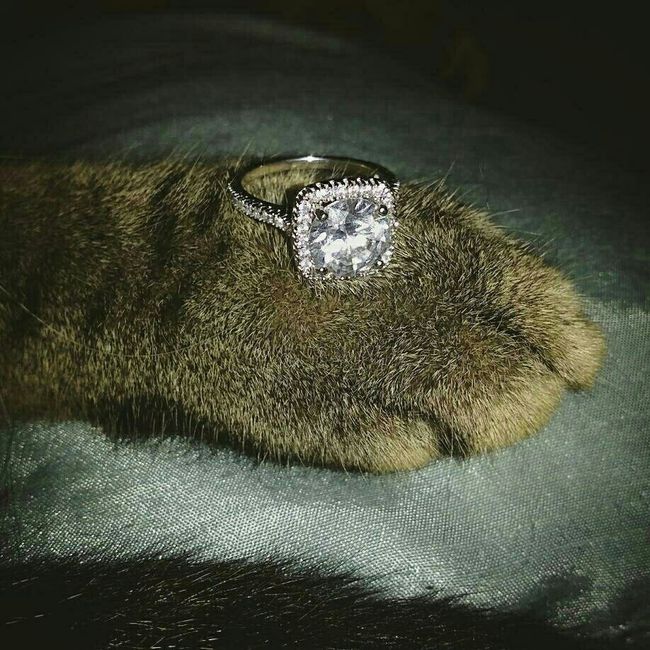 Let's see those rings!