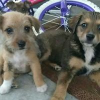 Show Me... Cheering Up!