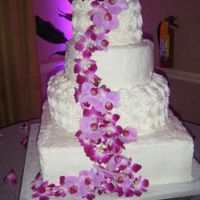 Back and married! Pre Bam!