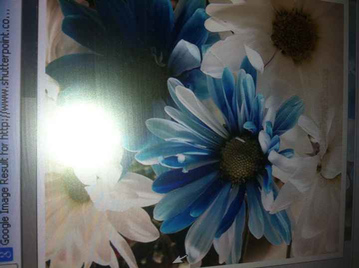 Flowers Flowers & more Flowers