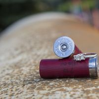 Engagement photos are BACK!!!!!