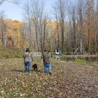Engagement photos are BACK!!!!!