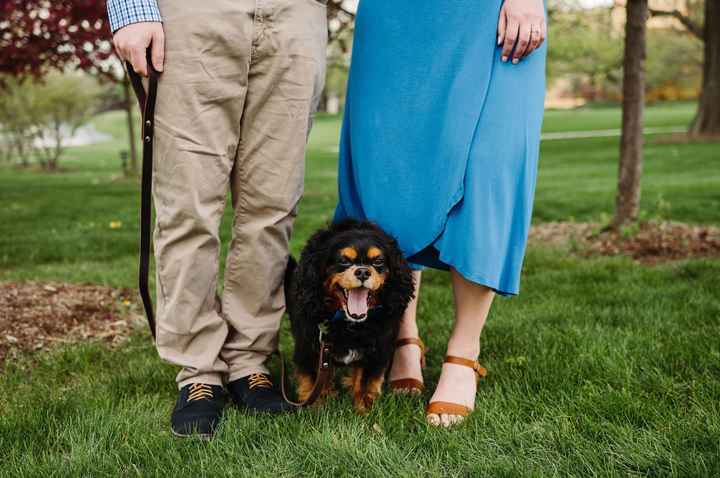 Dogs in Engagement Photos - 1