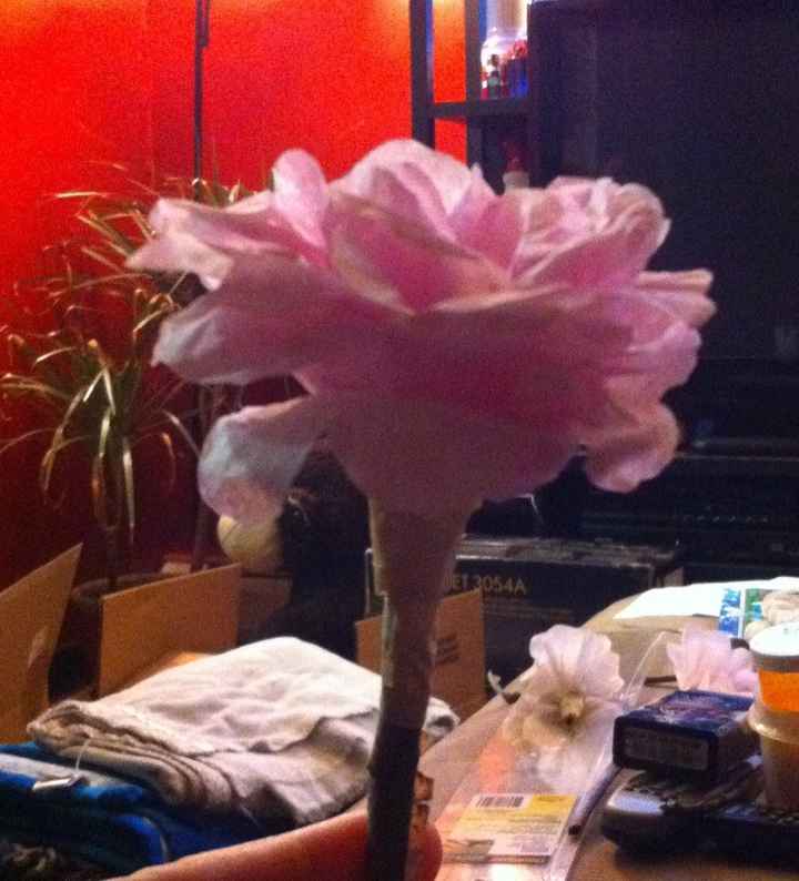 What do you think? (Pics)