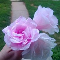 What do you think? (Pics)