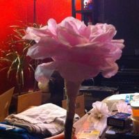 What do you think? (Pics)