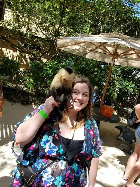 Hellobeautiful non-pro bam! - 1