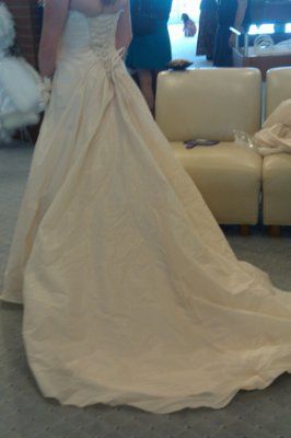 Fitting pics & I bought another dress!!