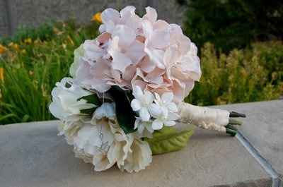 Professional Pics are in!!