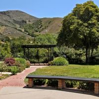 Wedding venue and guests!