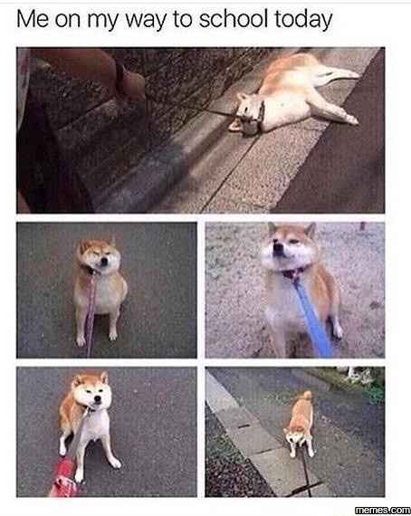KWR: Since none of us are being productive at work today.. Meme your mood!!