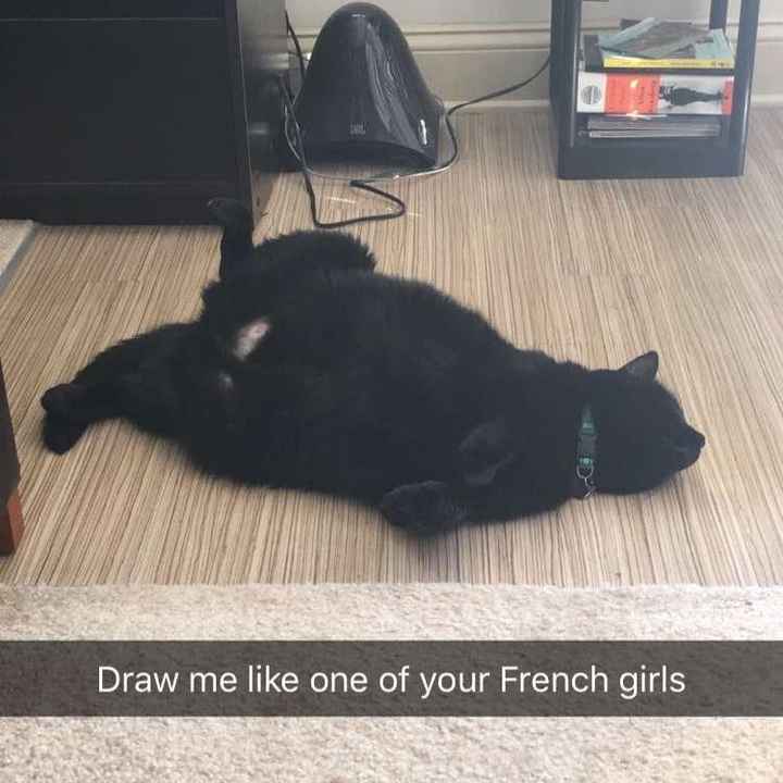 NWR: Bored? Show off your pets!